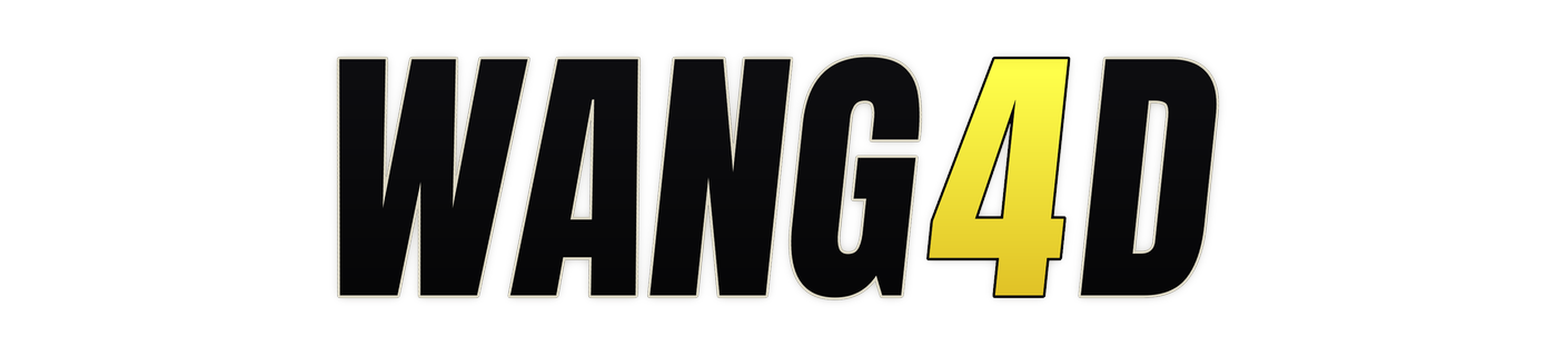 wang4d
